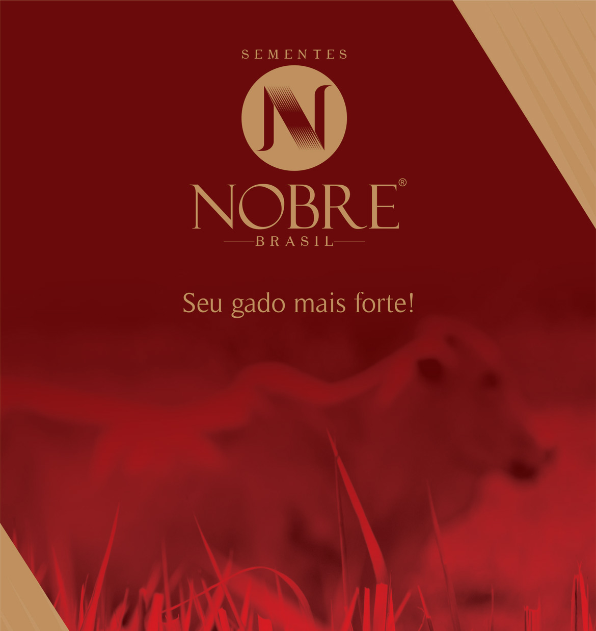 Sementes Nobre Brasil